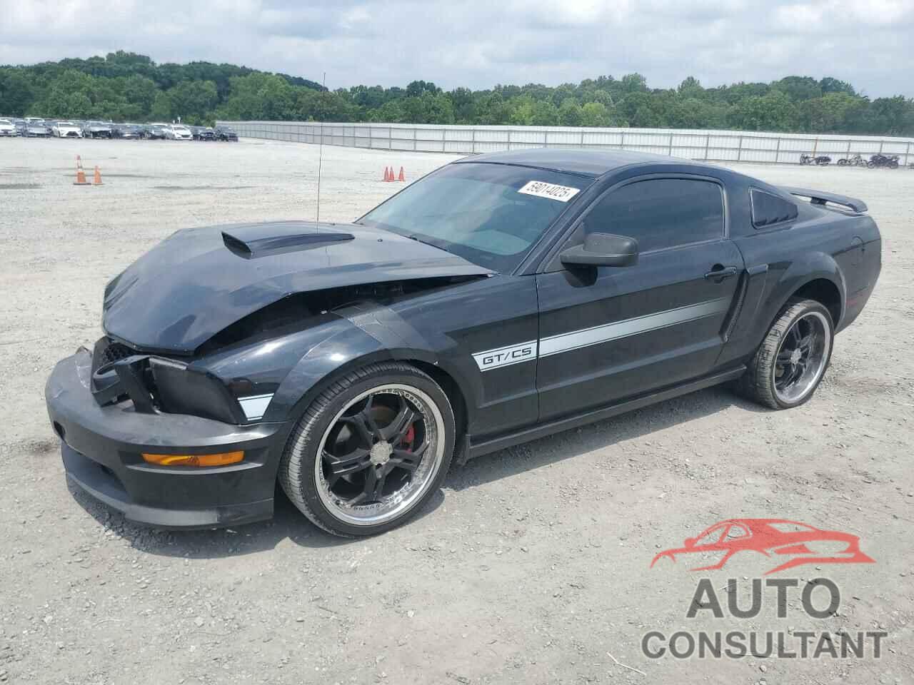 FORD MUSTANG 2009 - 1ZVHT82H595141672