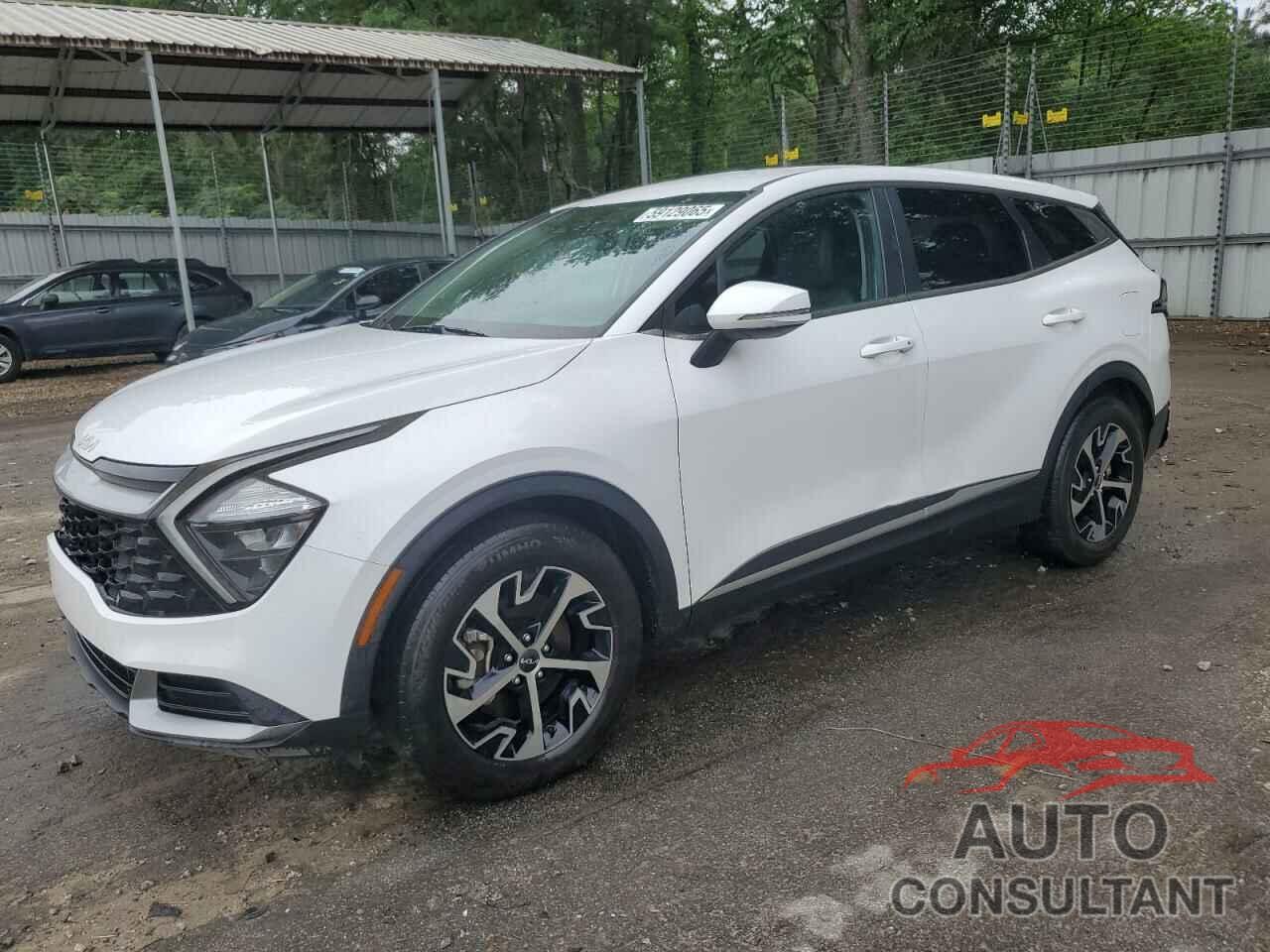 KIA SPORTAGE 2023 - 5XYK33AFXPG136127