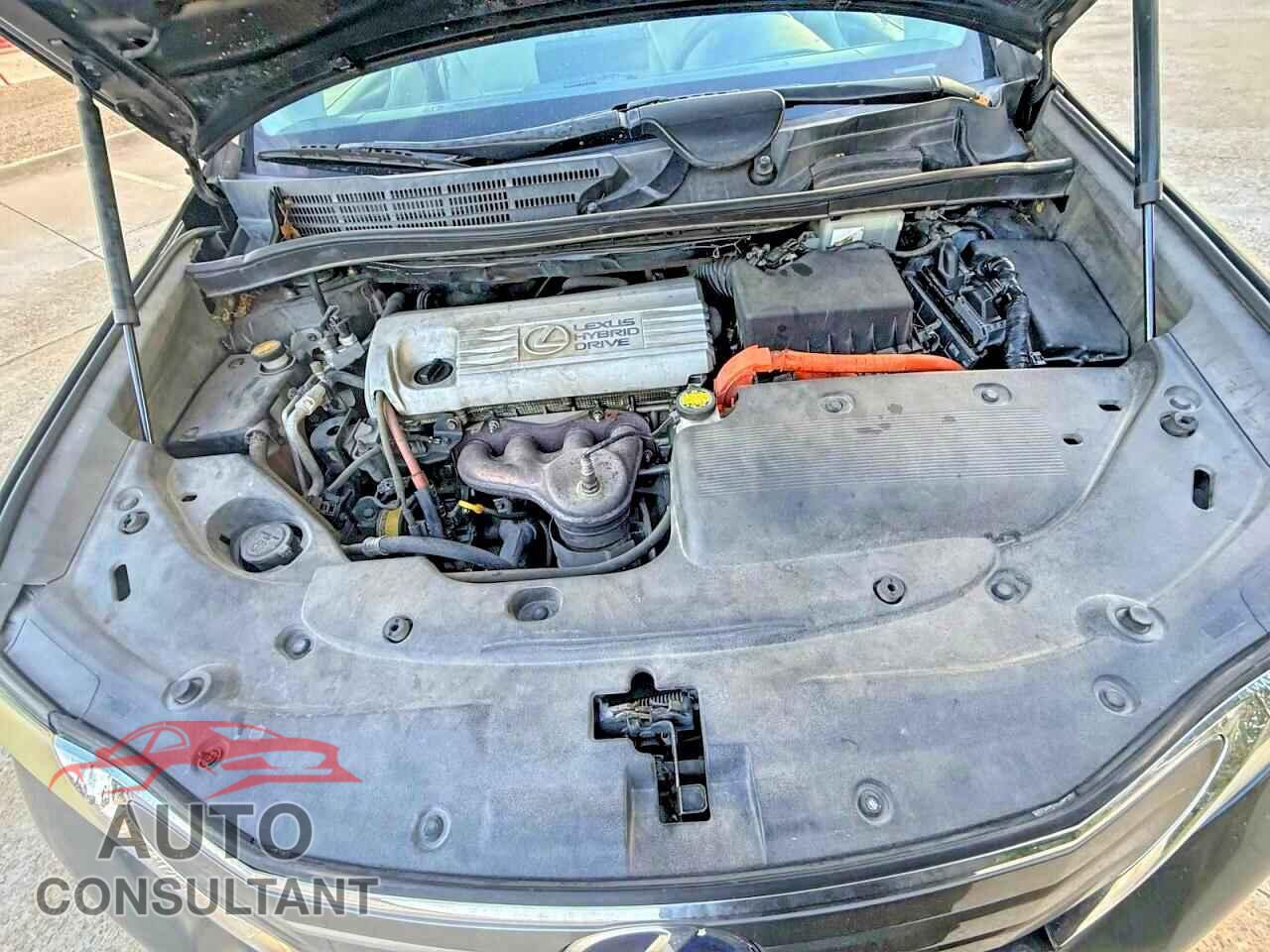 LEXUS HS 2010 - JTHBB1BA2A2020172