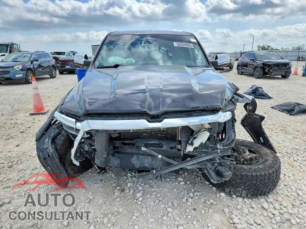 DODGE 1500 2019 - 1C6SRFJT3KN786528