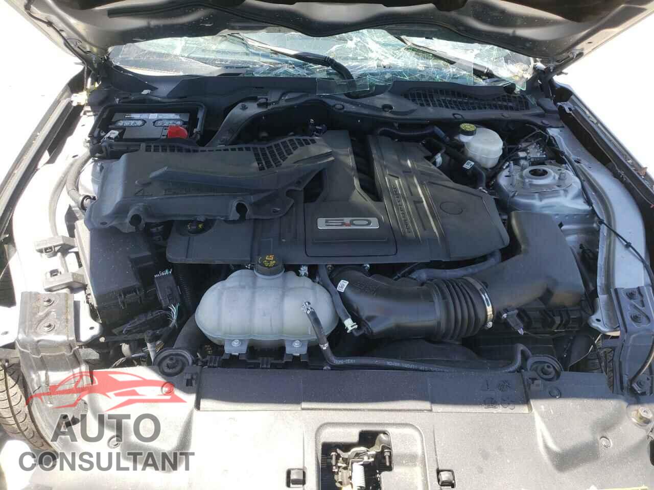 FORD MUSTANG 2021 - 1FA6P8CF2M5109496