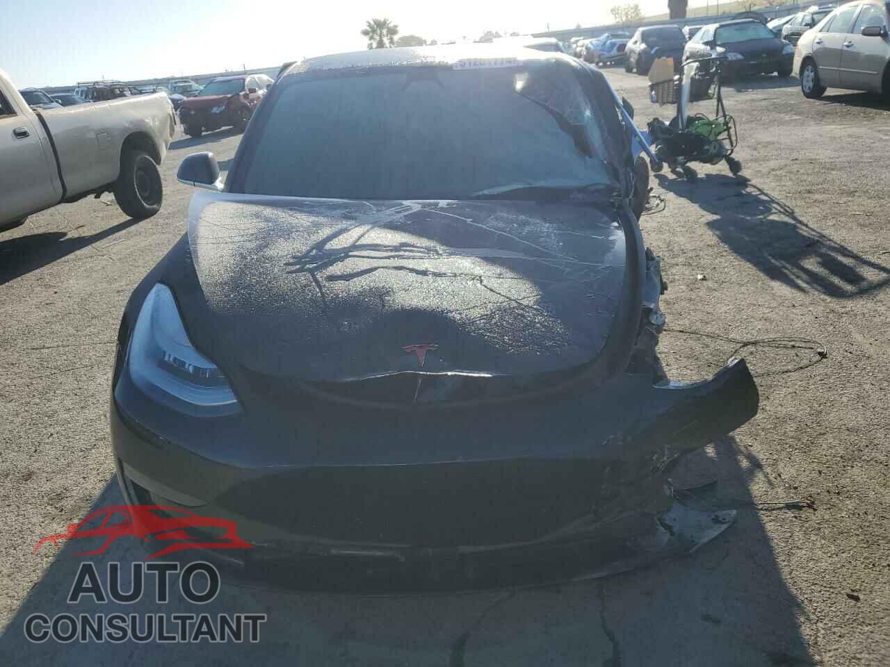 TESLA MODEL 3 2019 - 5YJ3E1EB6KF441599