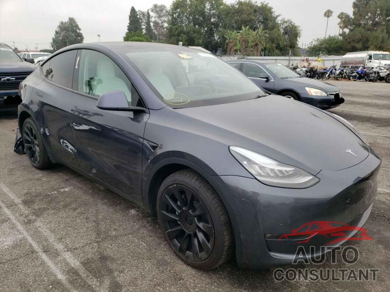 TESLA MODEL Y 2021 - 5YJYGDEE5MF283741