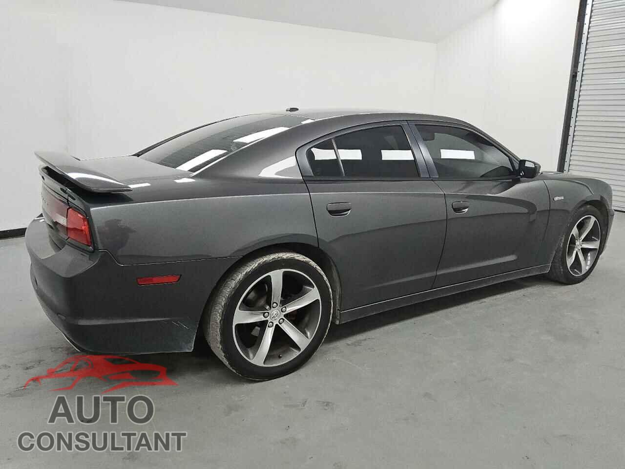 DODGE CHARGER 2014 - 2C3CDXHG1EH319488
