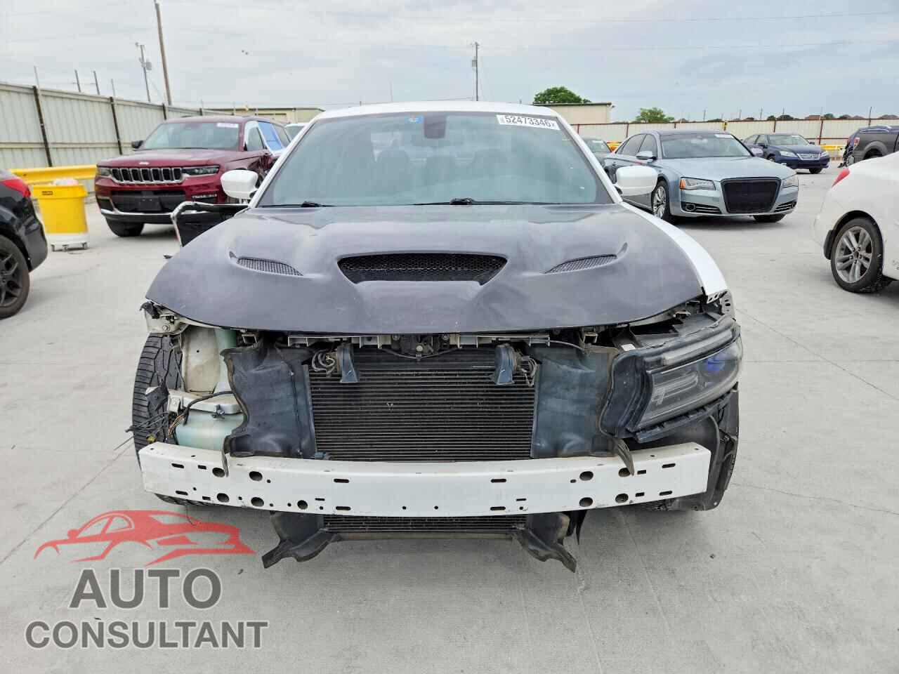 DODGE CHARGER 2015 - 2C3CDXHGXFH856412
