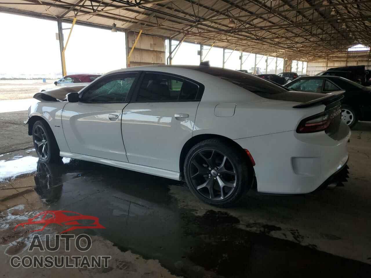 DODGE CHARGER 2019 - 2C3CDXCTXKH700353