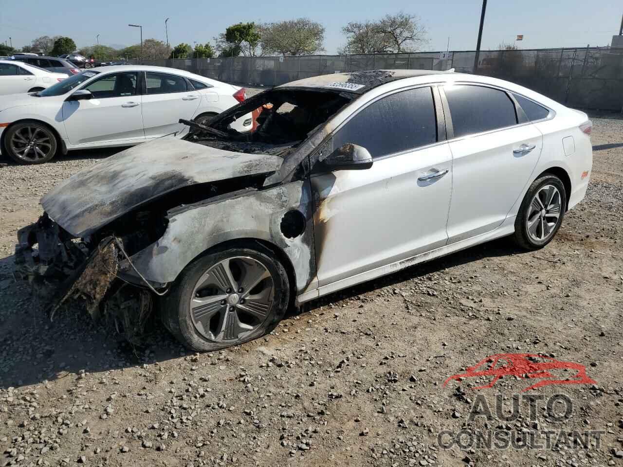 HYUNDAI SONATA 2019 - KMHE14L23KA089157