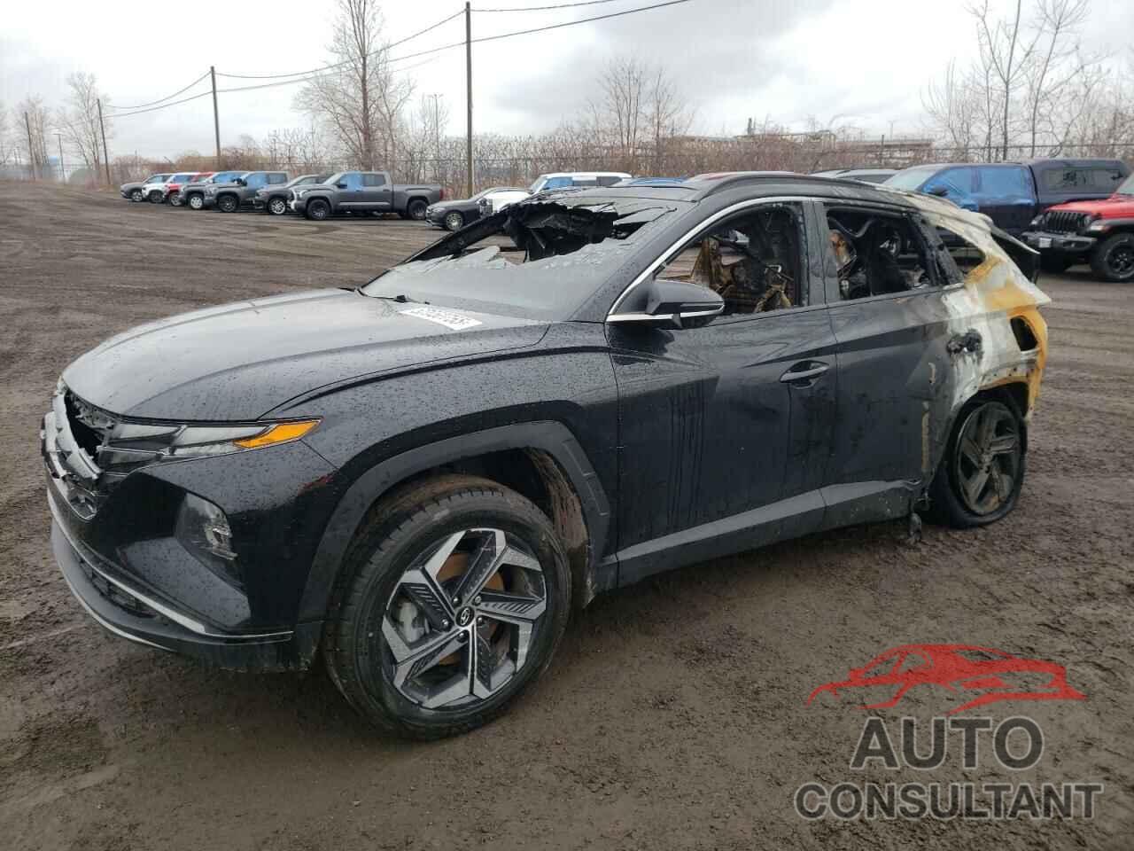 HYUNDAI TUCSON 2024 - KM8JCCD13RU196212