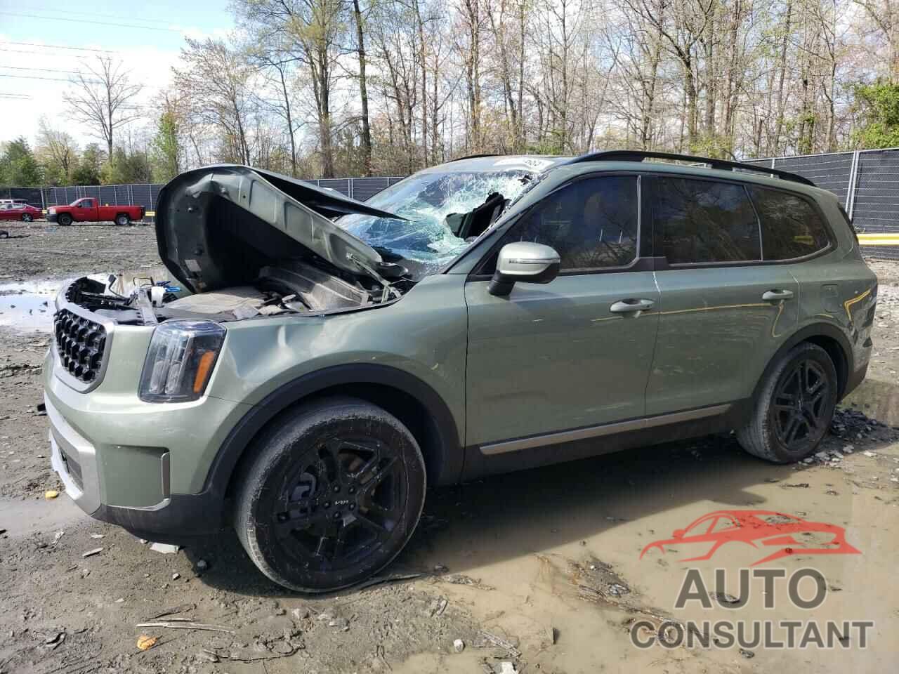 KIA TELLURIDE 2023 - 5XYP3DGC9PG337381