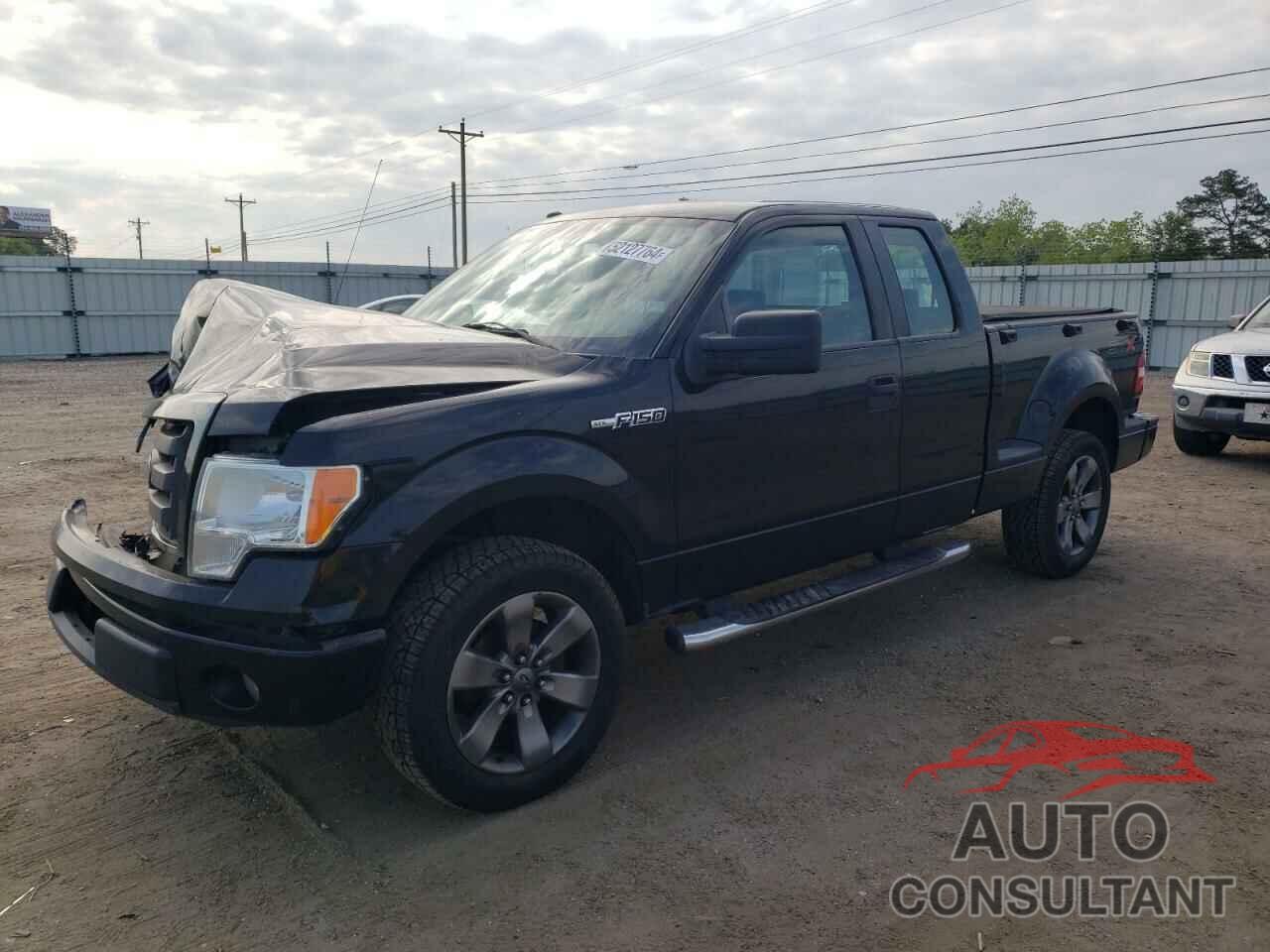 FORD F-150 2009 - 1FTRX02W19KC15621