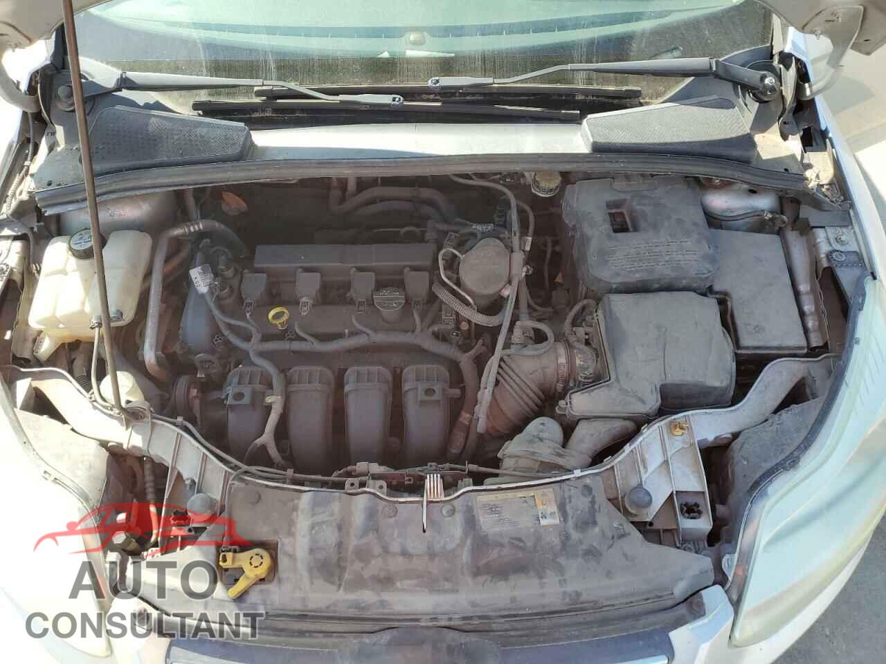 FORD FOCUS 2012 - 1FAHP3F23CL174243
