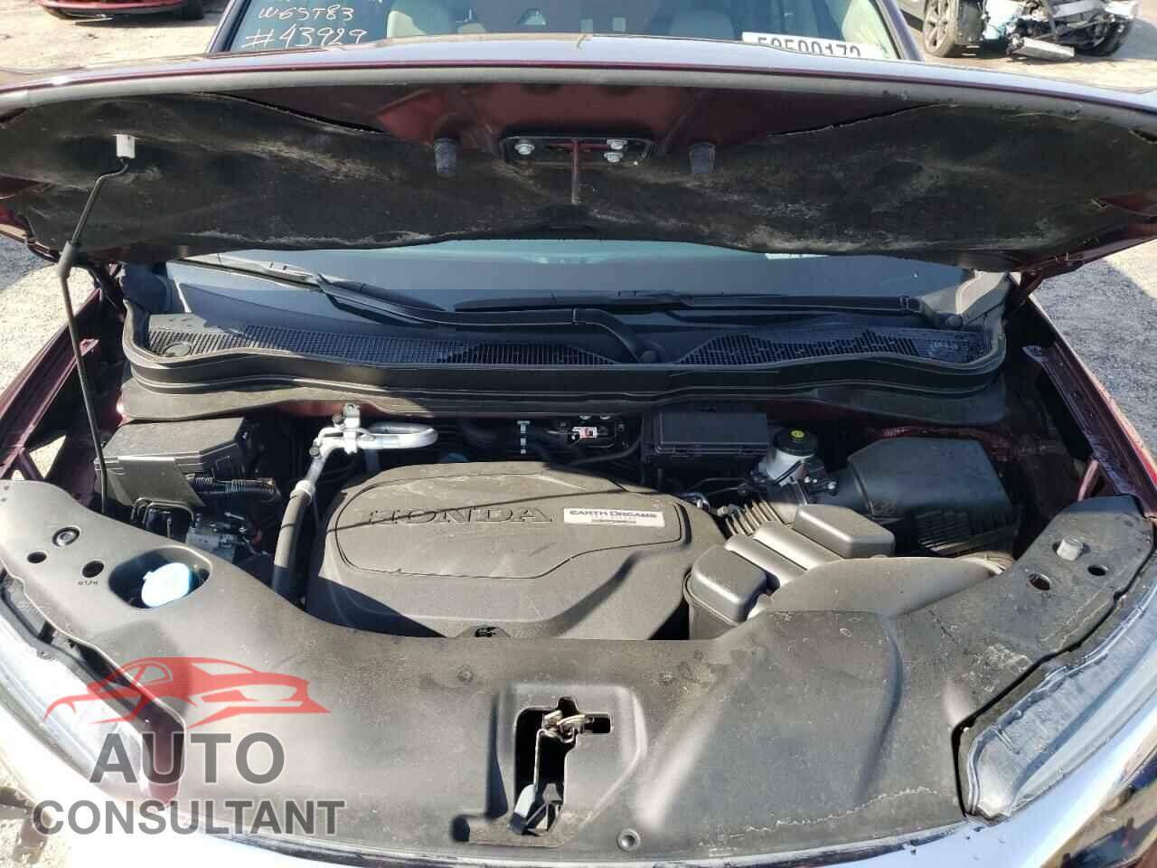 HONDA PILOT 2019 - 5FNYF6H44KB028982