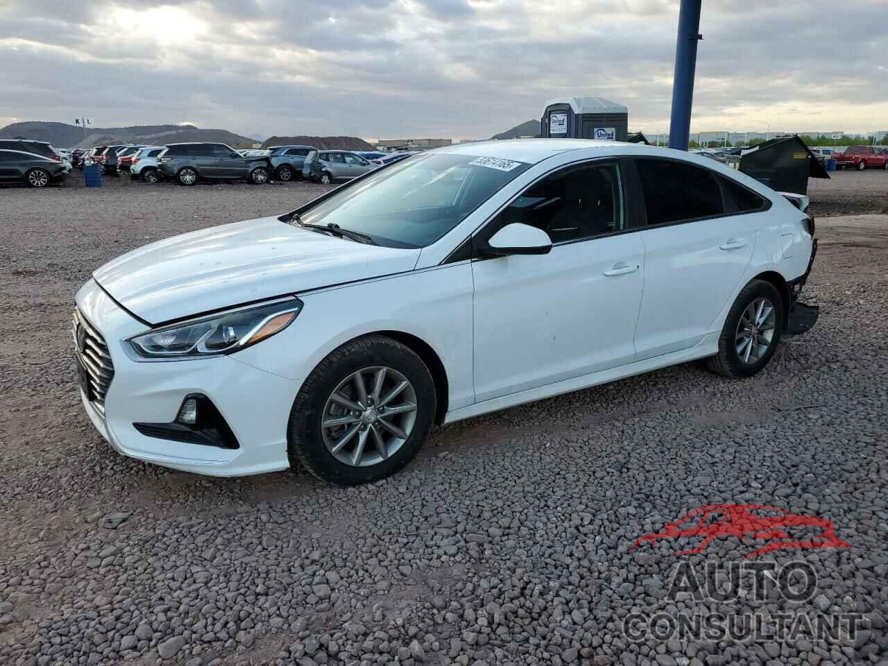 HYUNDAI SONATA 2019 - 5NPE24AF1KH756713