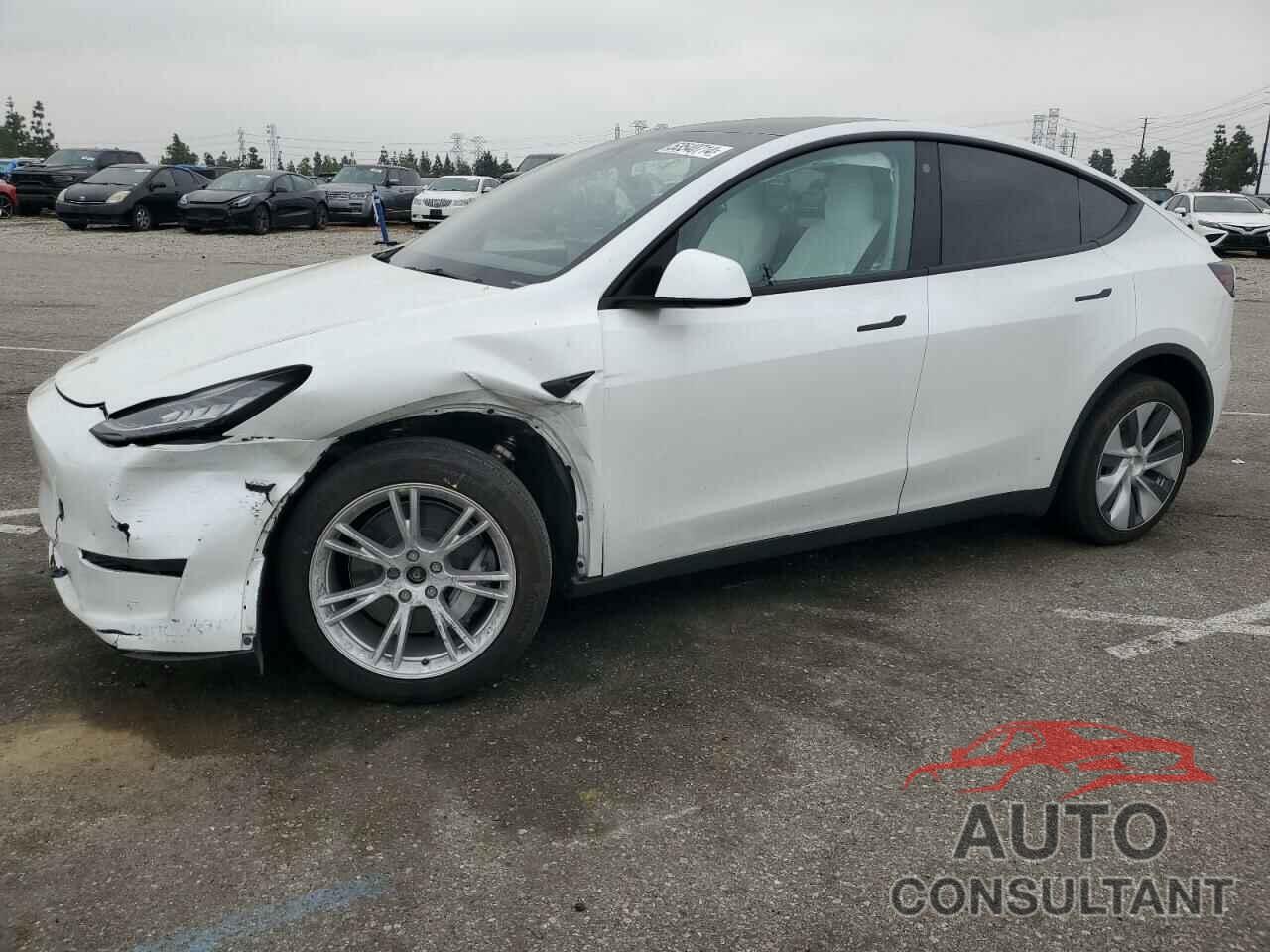 TESLA MODEL Y 2022 - 7SAYGDEE8NF512031