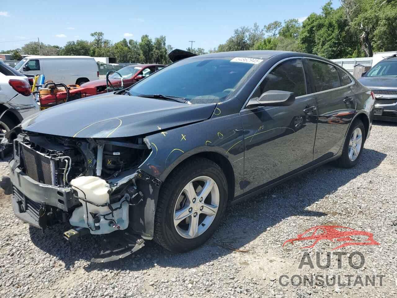 CHEVROLET MALIBU 2019 - 1G1ZB5ST7KF178664