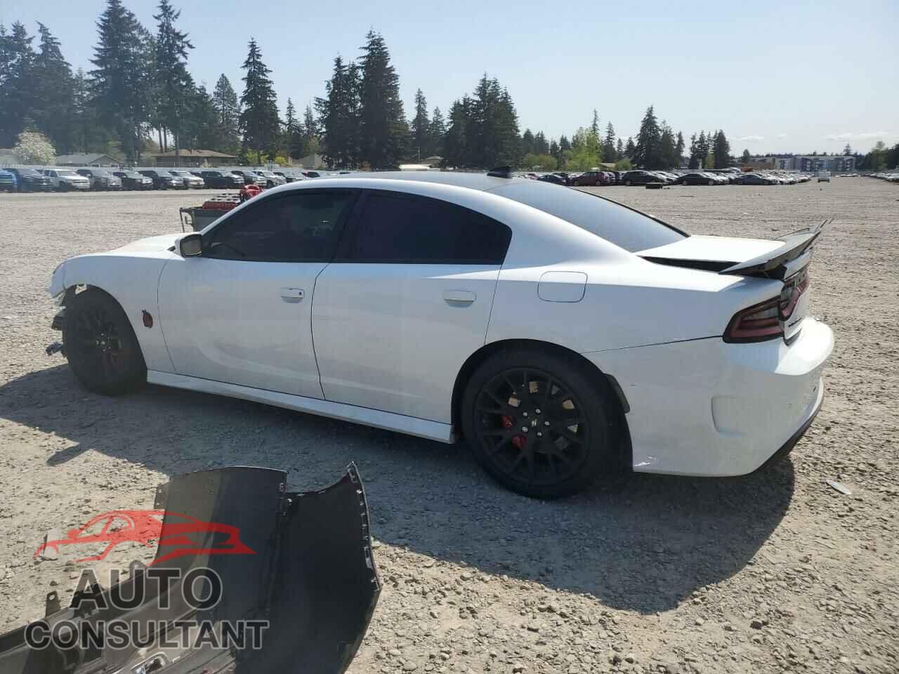DODGE CHARGER 2018 - 2C3CDXGJ2JH251175