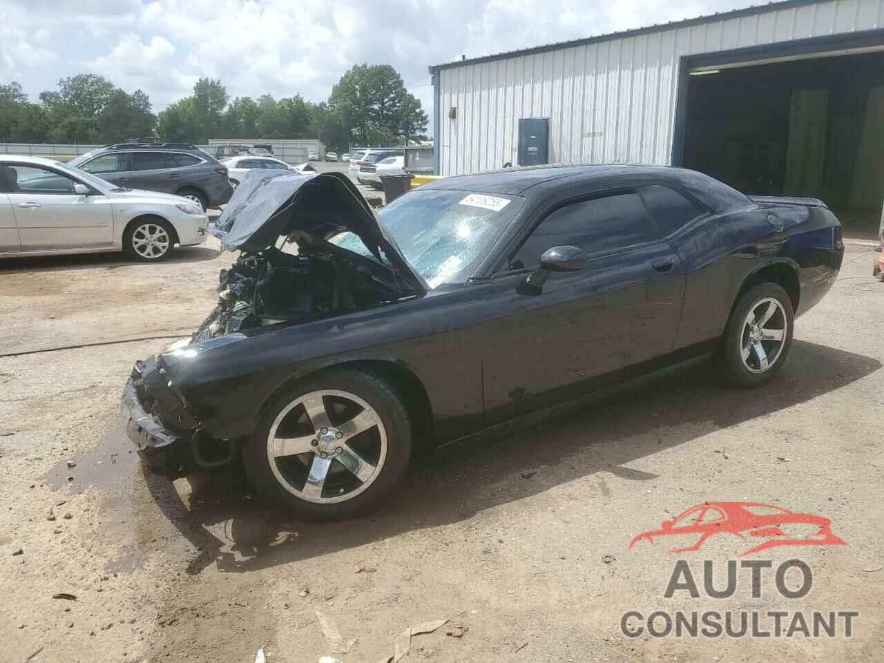 DODGE CHALLENGER 2013 - 2C3CDYAG2DH554254