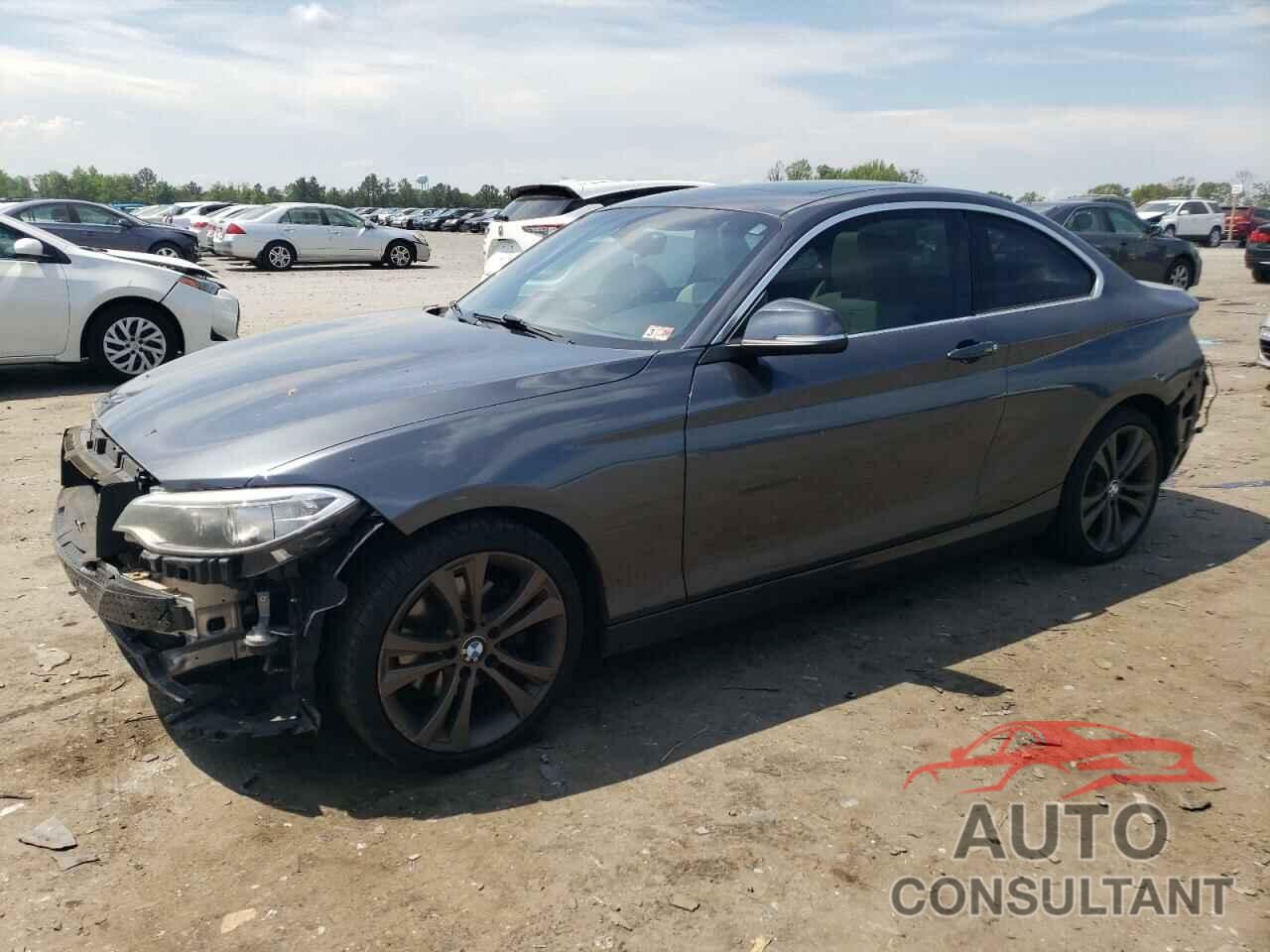 BMW 2 SERIES 2016 - WBA1F9C51GV545374