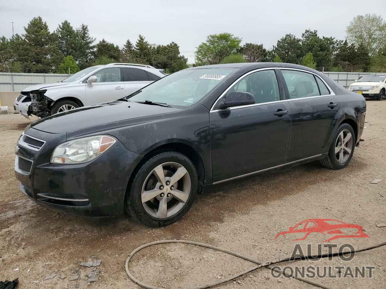 CHEVROLET MALIBU 2011 - 1G1ZC5E11BF255942