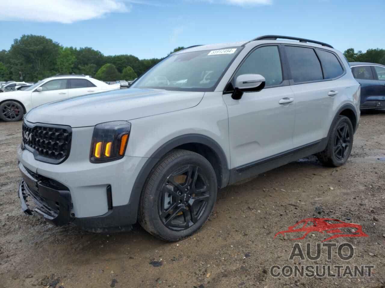 KIA TELLURIDE 2024 - 5XYP5DGC4RG467307