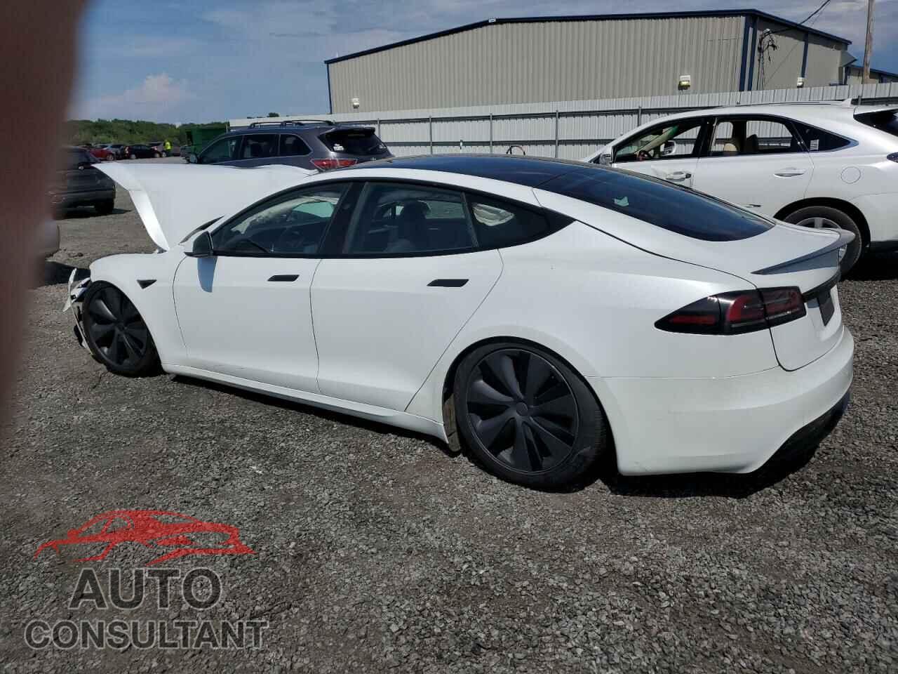 TESLA MODEL S 2023 - 5YJSA1E60PF505346