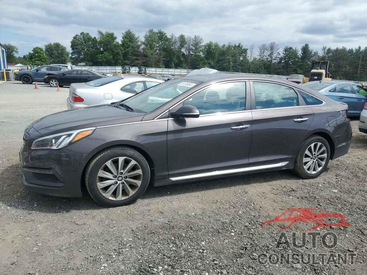 HYUNDAI SONATA 2016 - 5NPE34AF5GH351457