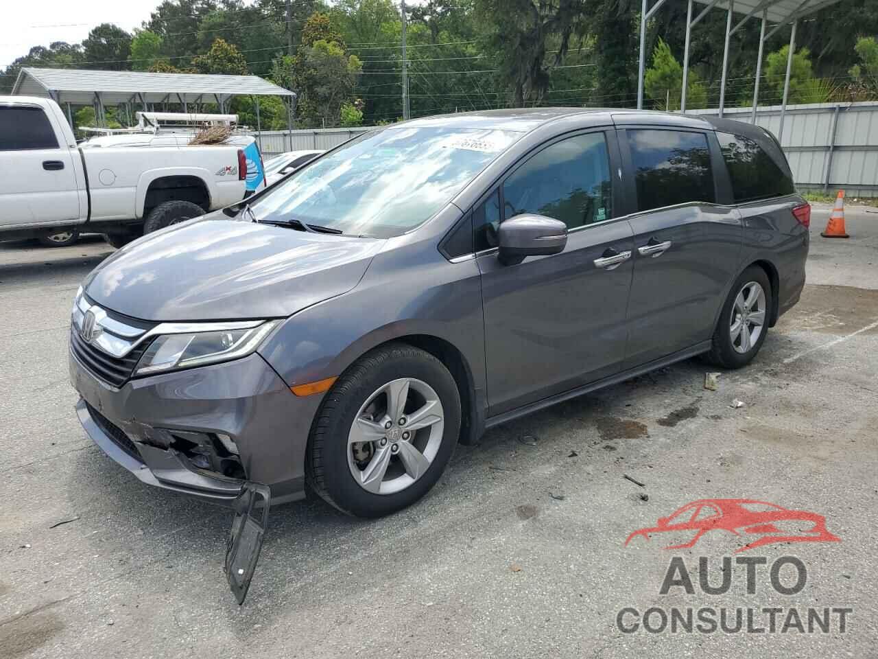 HONDA All Models 2019 - 5FNRL6H71KB025691