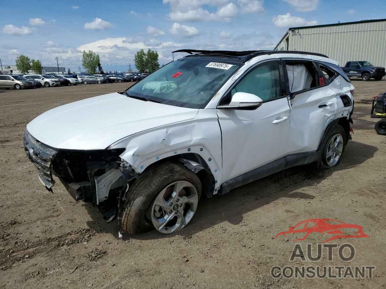 HYUNDAI TUCSON 2024 - KM8JCCDE0RU313599