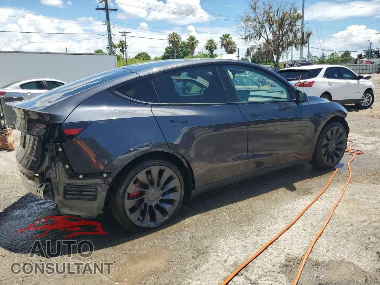 TESLA MODEL Y 2024 - 7SAYGDEF1RF045758