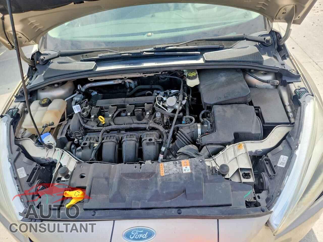 FORD FOCUS 2017 - 1FADP3F23HL300607