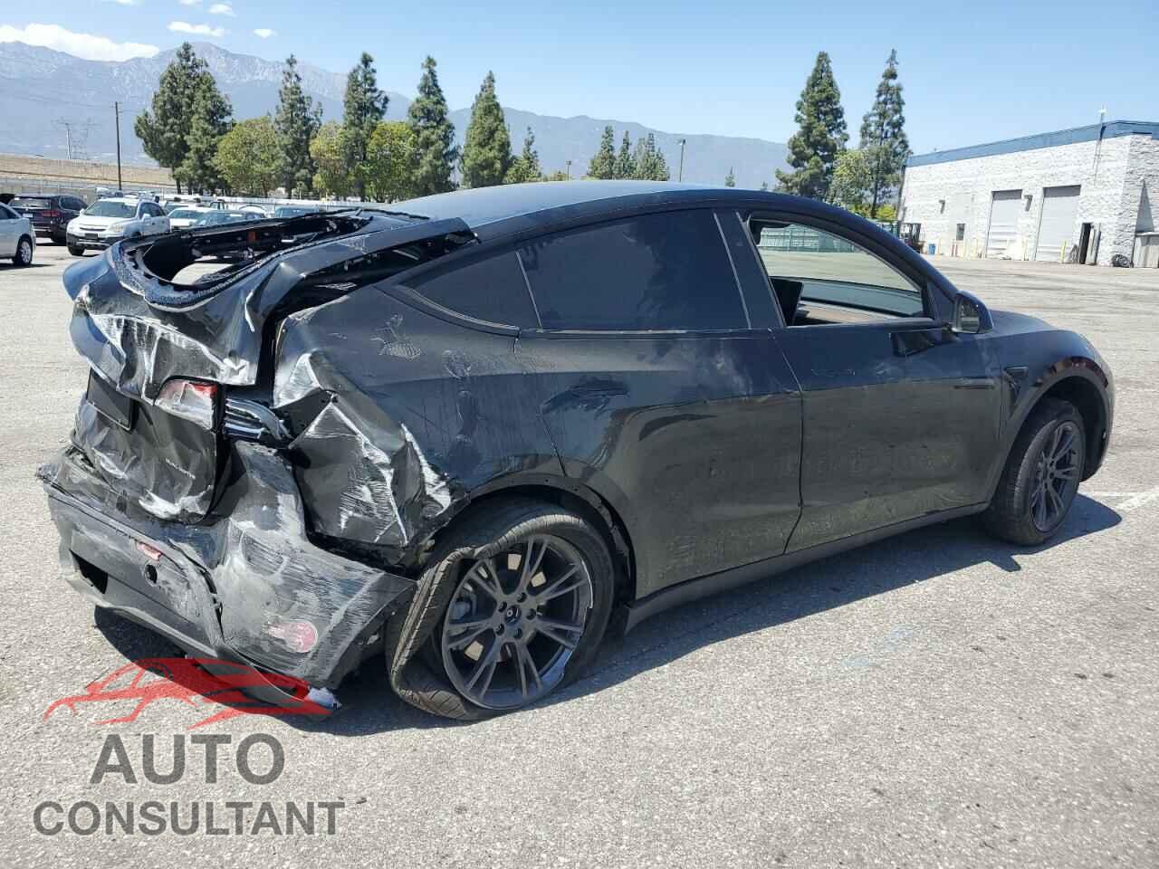 TESLA MODEL Y 2024 - 7SAYGDEE0RF123793