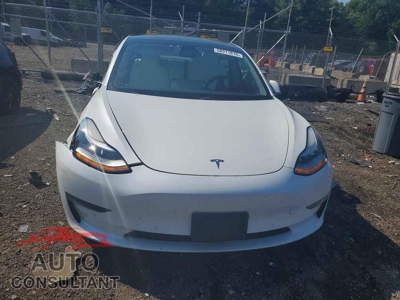 TESLA MODEL 3 2019 - 5YJ3E1EB7KF406831