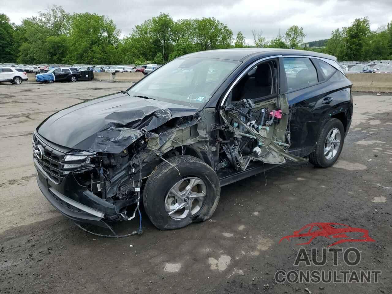 HYUNDAI TUCSON 2024 - 5NMJACDE1RH353613