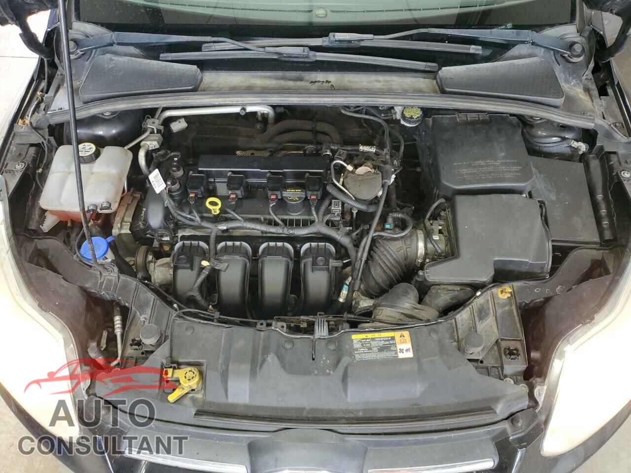 FORD FOCUS 2014 - 1FADP3K25EL127464