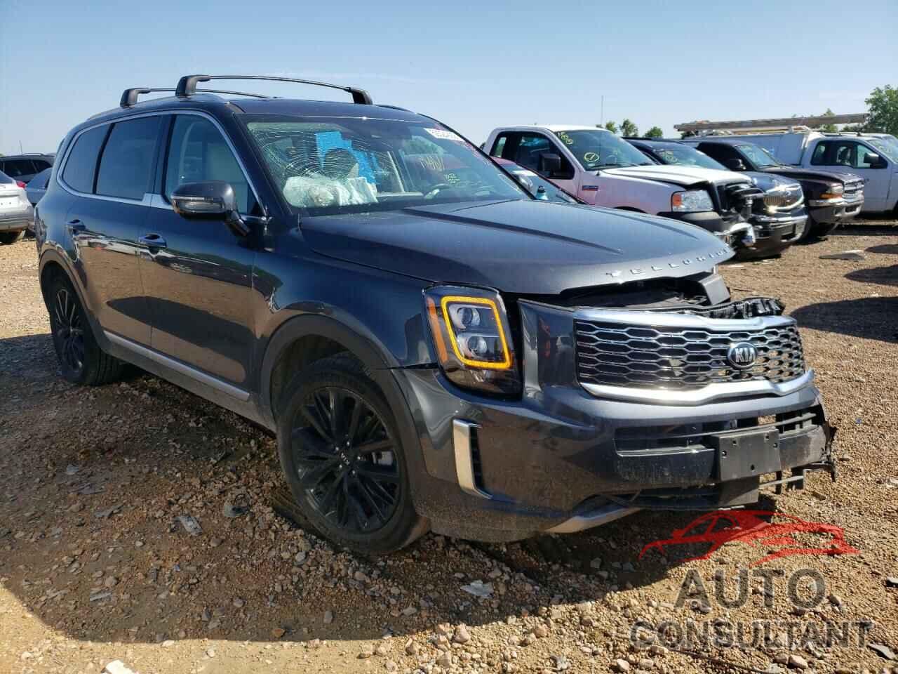 KIA TELLURIDE 2020 - 5XYP5DHC7LG091742