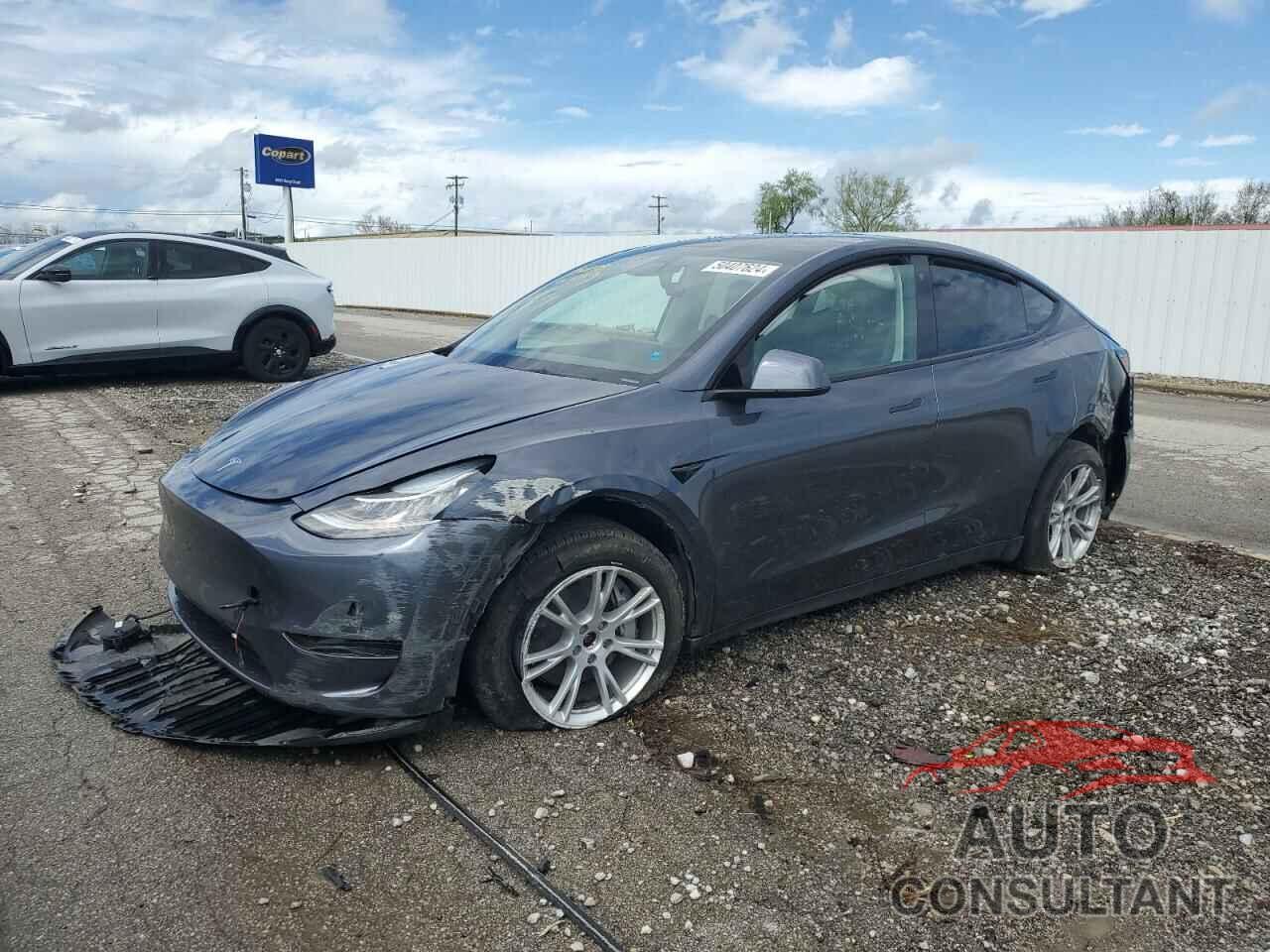 TESLA MODEL Y 2022 - 7SAYGDEE5NF445890