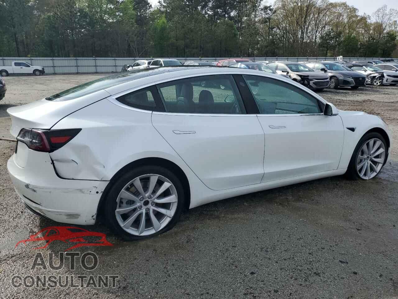 TESLA MODEL 3 2019 - 5YJ3E1EB2KF429501