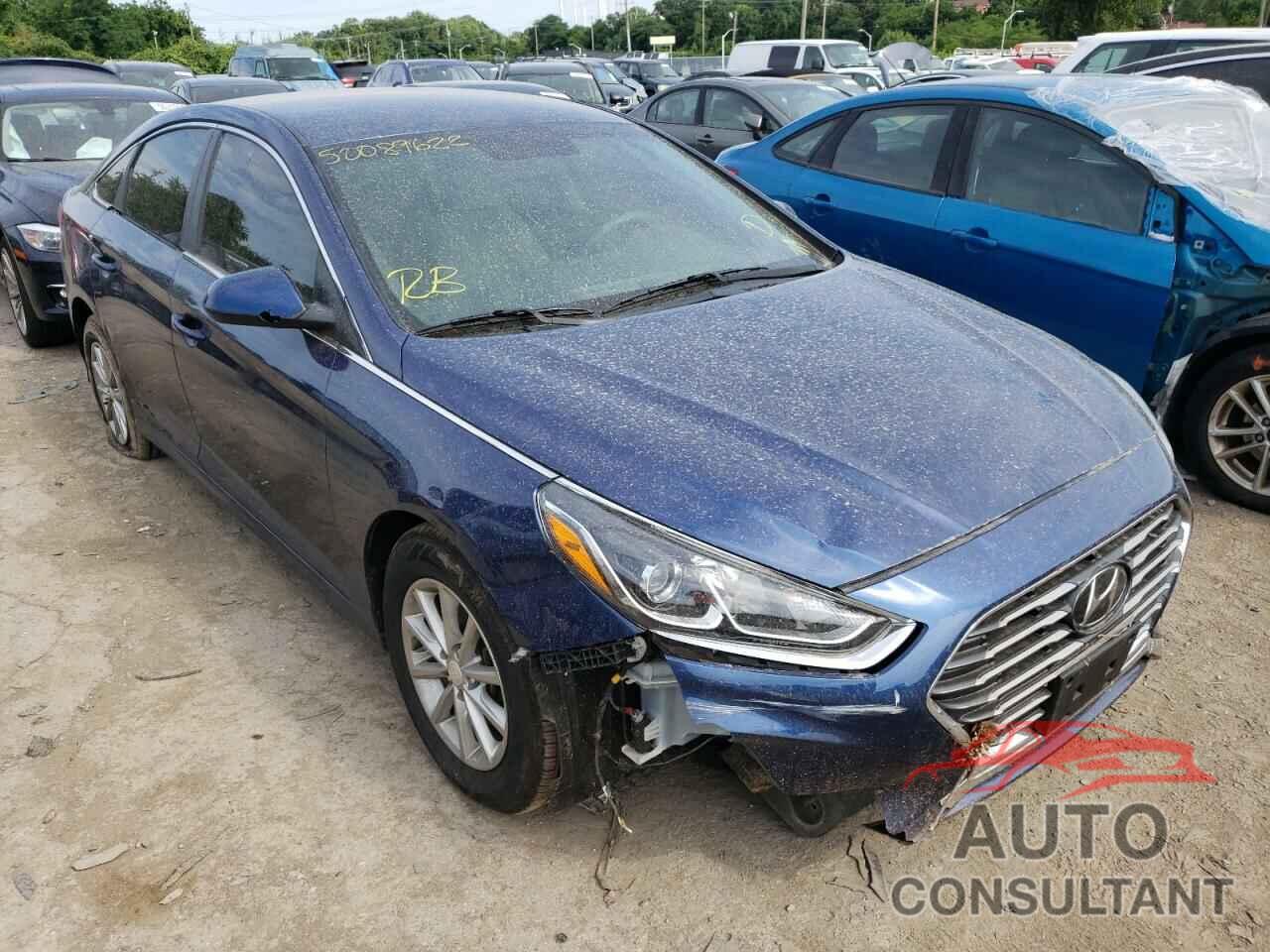HYUNDAI SONATA 2019 - 5NPE24AFXKH788186