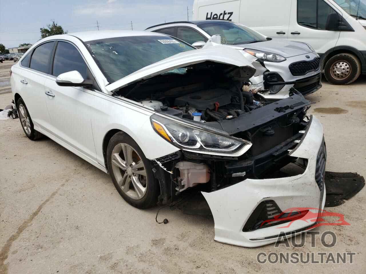 HYUNDAI SONATA 2018 - 5NPE34AF6JH604857