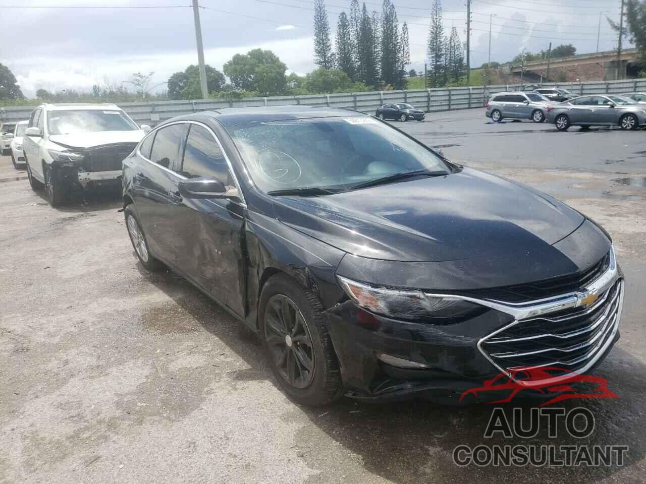 CHEVROLET MALIBU 2019 - 1G1ZD5ST8KF113784
