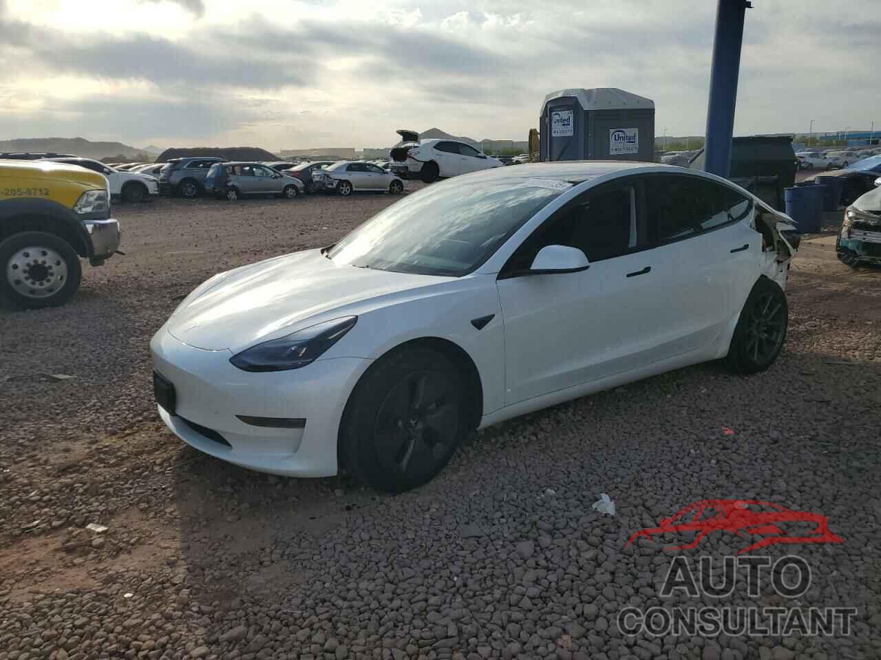 TESLA MODEL 3 2021 - 5YJ3E1EA2MF923156
