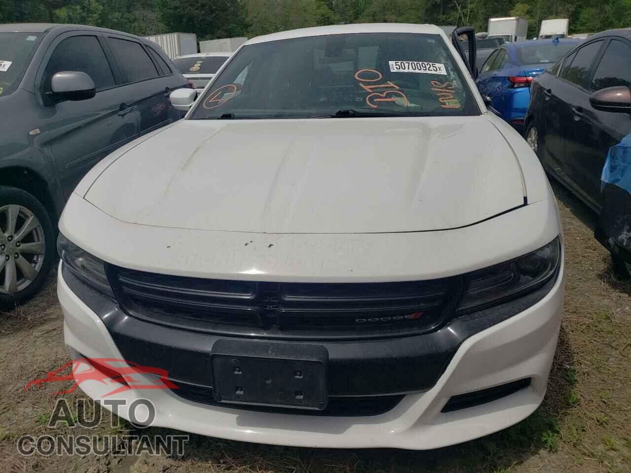 DODGE CHARGER 2019 - 2C3CDXKT8KH636802