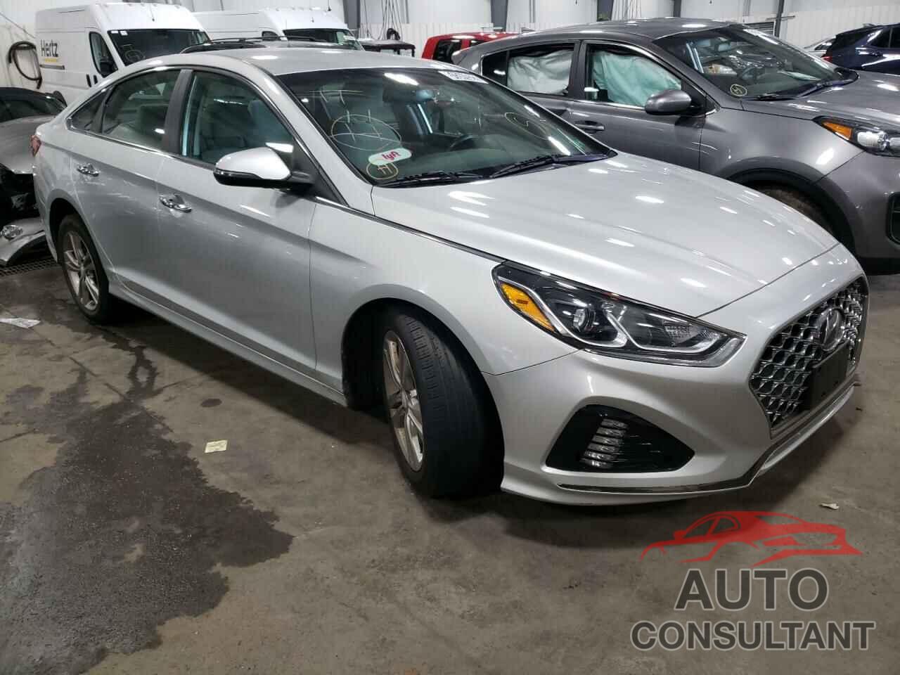 HYUNDAI SONATA 2019 - 5NPE34AF4KH767976