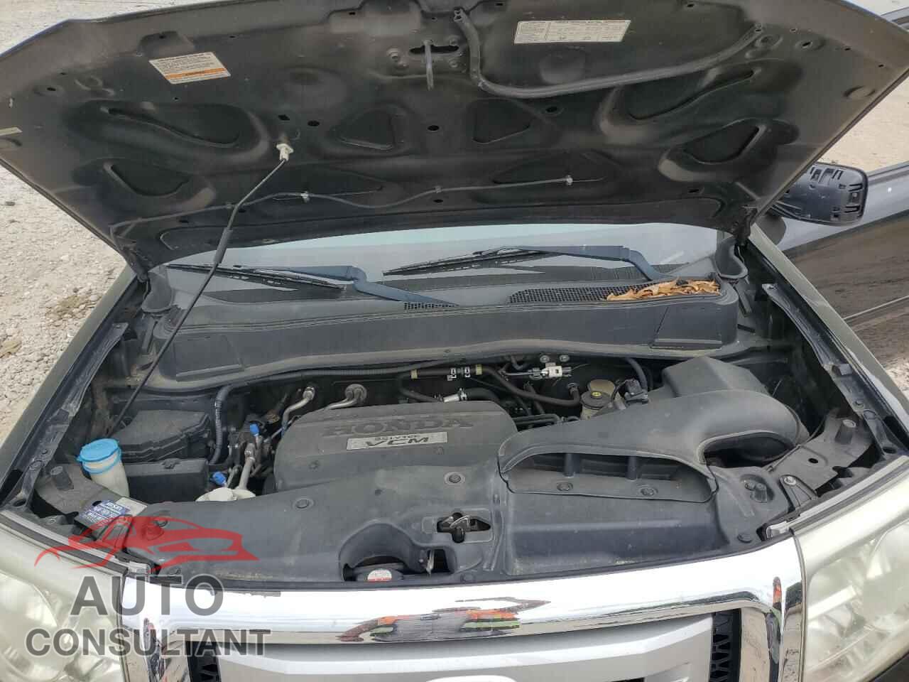 HONDA PILOT 2009 - 5FNYF38519B006066