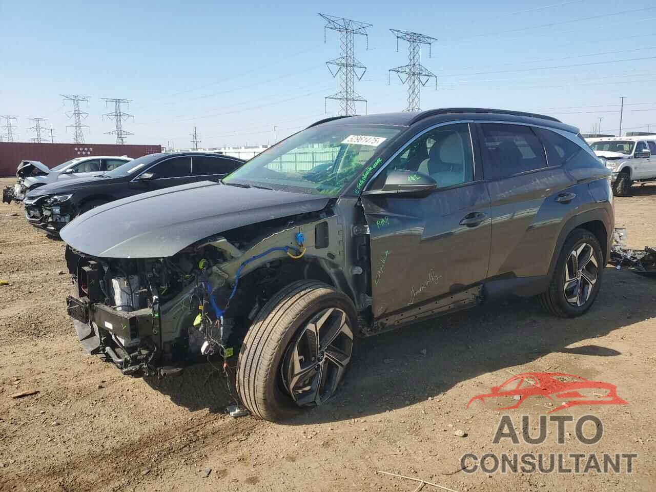 HYUNDAI TUCSON 2024 - KM8JCCD1XRU203432