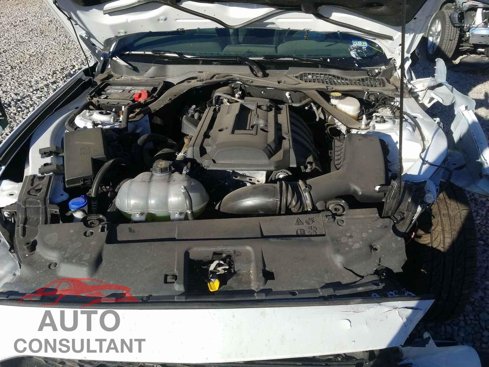 FORD MUSTANG 2020 - 1FATP8UH2L5131872