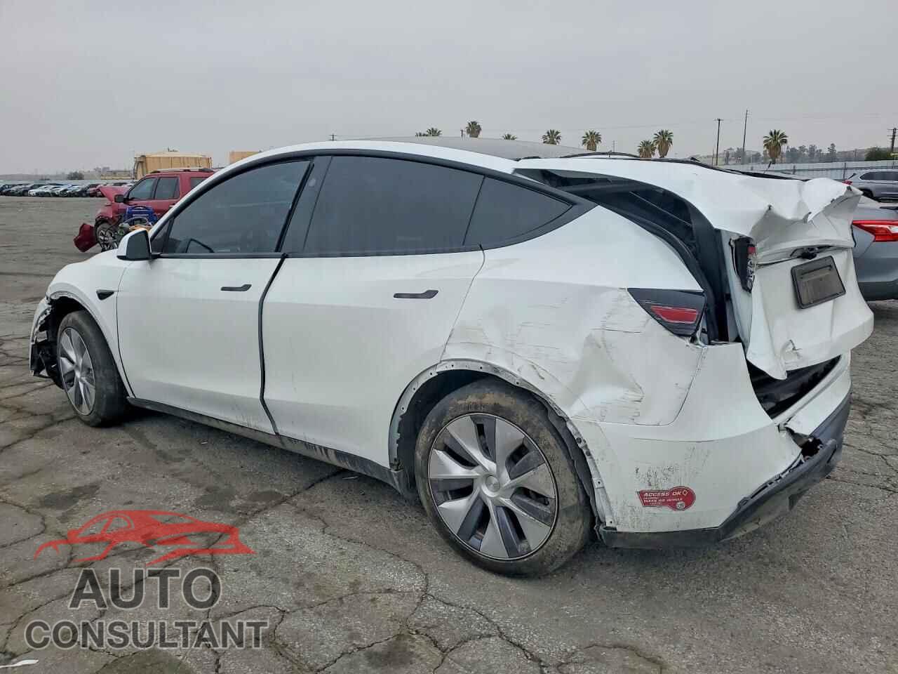 TESLA MODEL Y 2024 - 7SAYGDED6RF095408