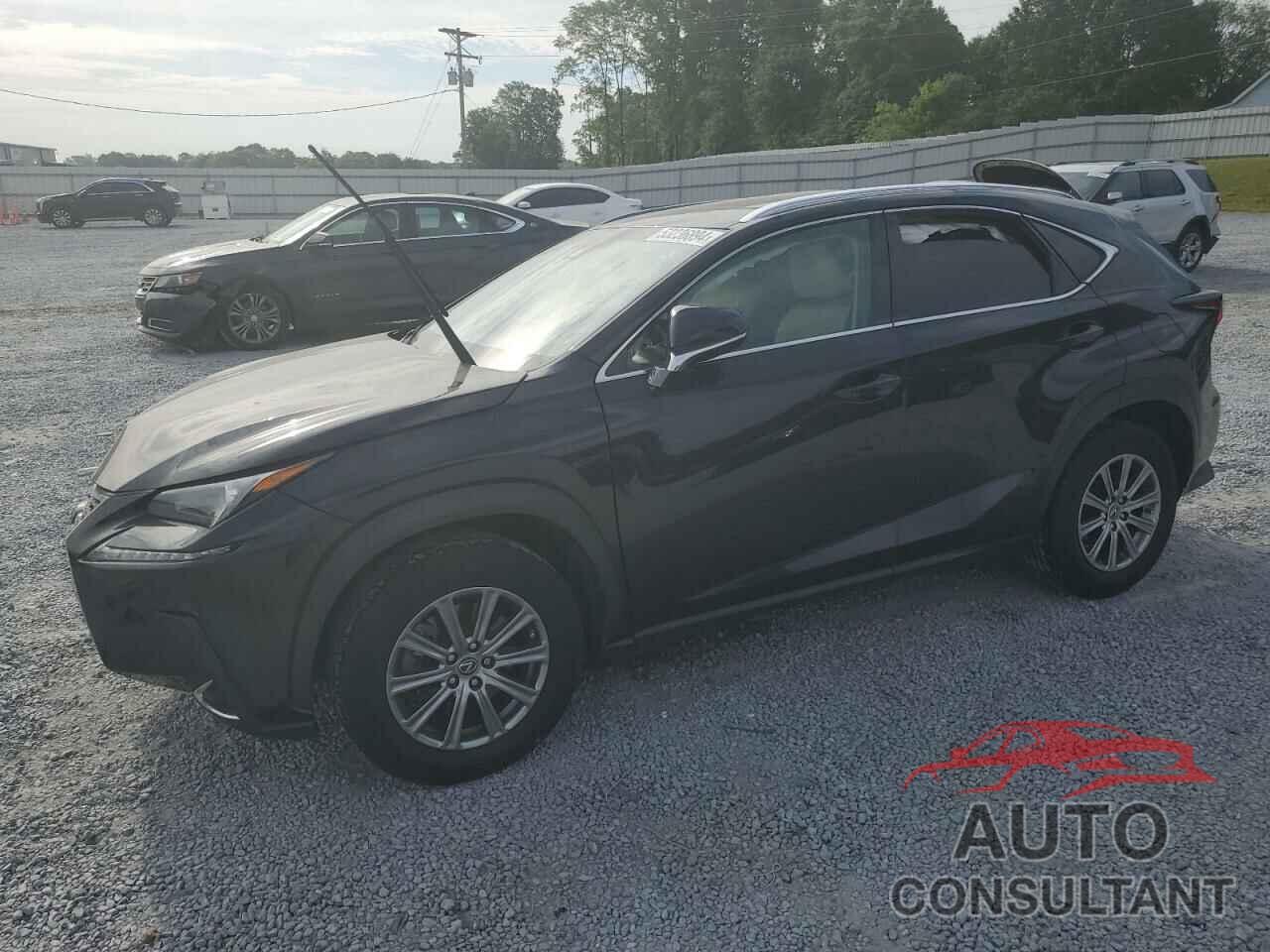 LEXUS NX 2019 - JTJYARBZ6K2153681