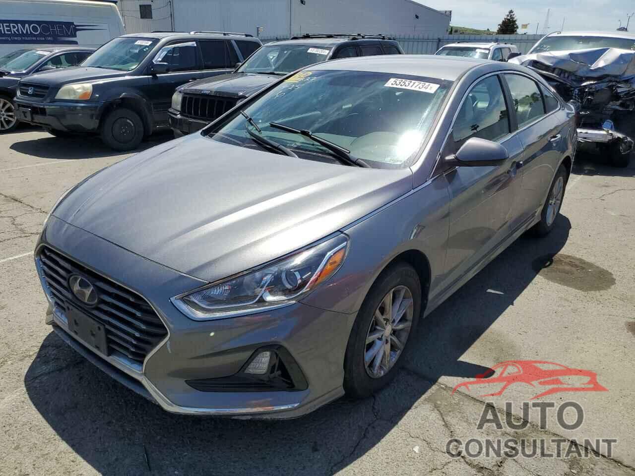 HYUNDAI SONATA 2019 - 5NPE24AF4KH757547