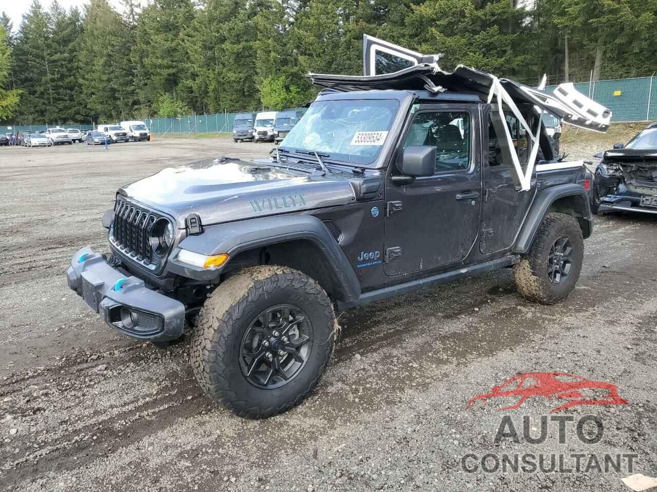 JEEP WRANGLER 2024 - 1C4RJXN66RW199219